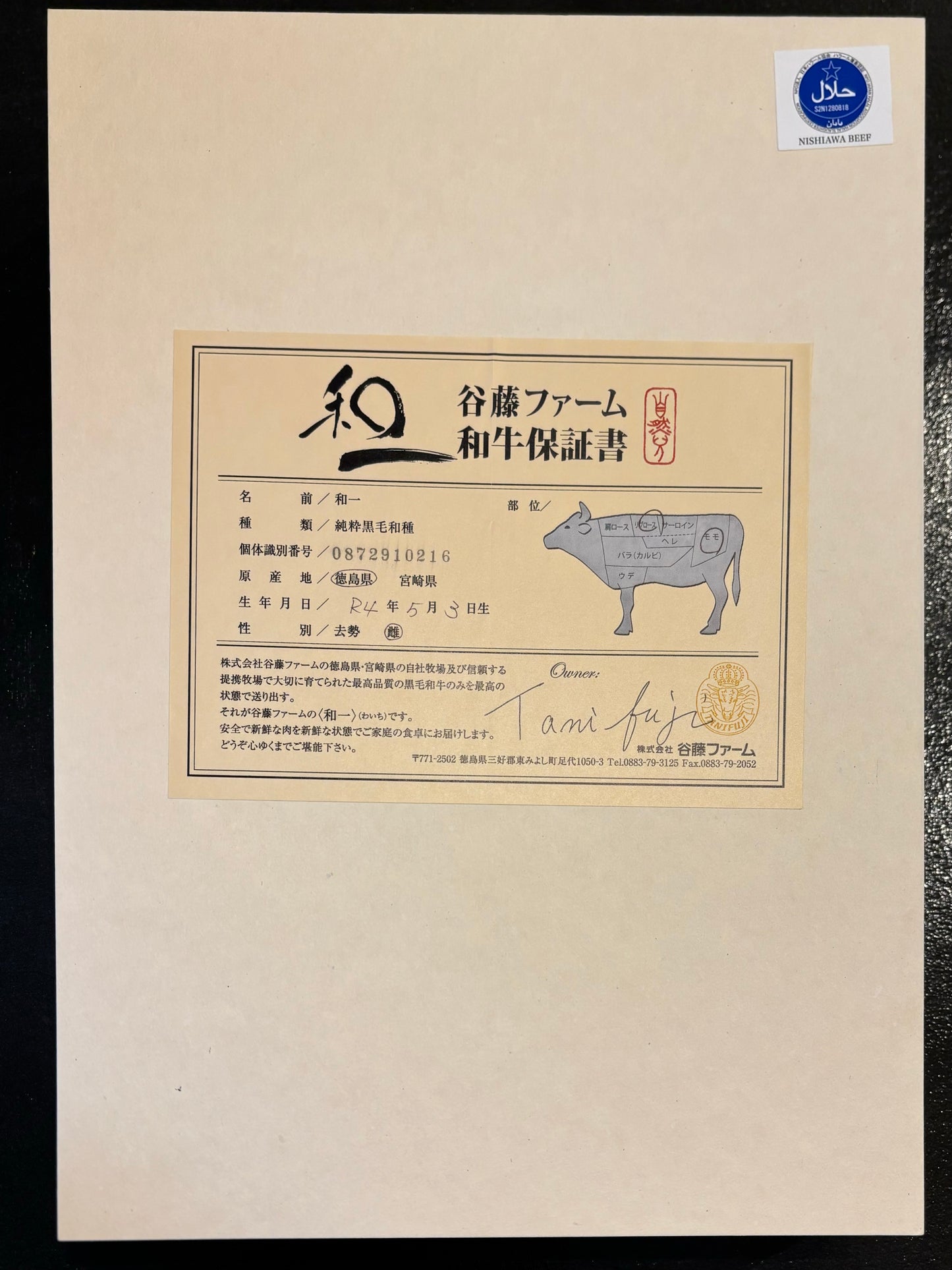 ステーキ (Steak)